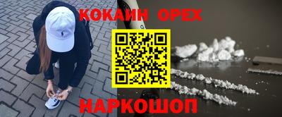 apvp Гатчина