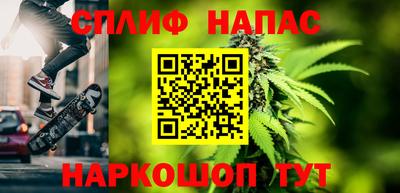 apvp Гатчина