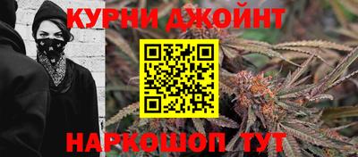 apvp Гатчина