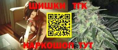 apvp Гатчина