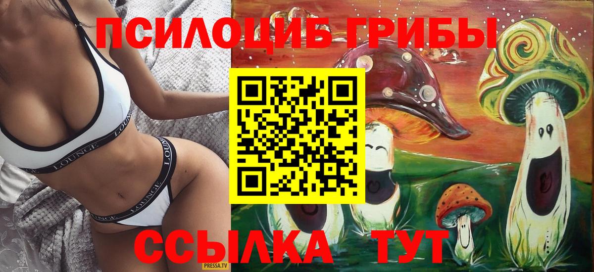 Галлюциногенные грибы Psilocybe Мурманск