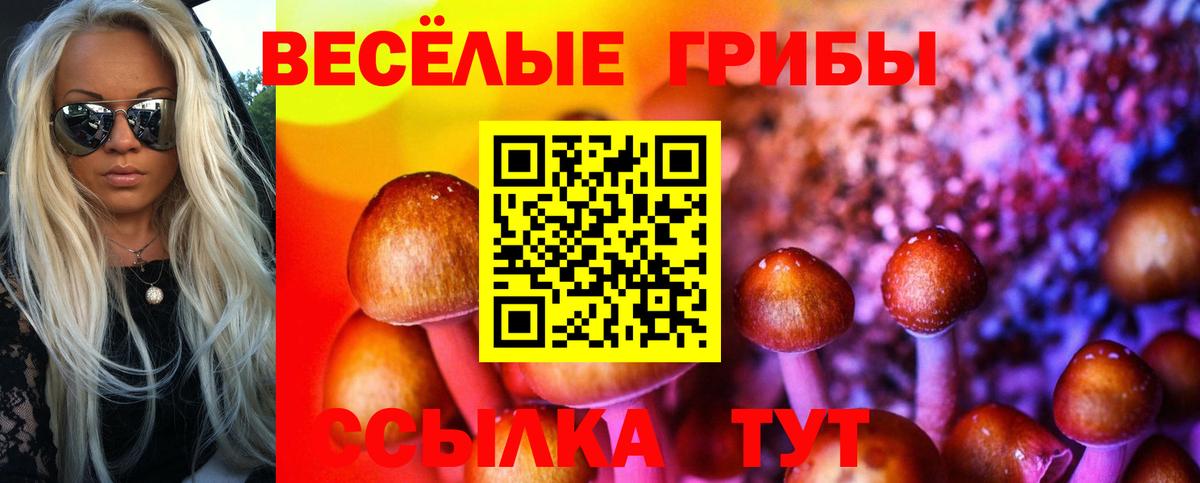 Мурманск  Галлюциногенные грибы Psilocybe  Псилоцибиновые грибы прущие грибы  Вход с VPN 