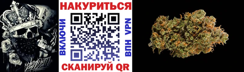 где можно купить Мурманск Марихуана конопля